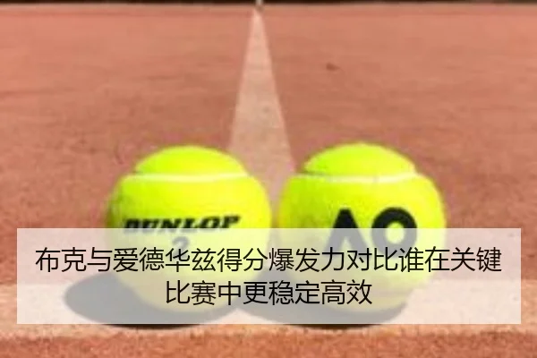 布克与爱德华兹得分爆发力对比谁在关键比赛中更稳定高效