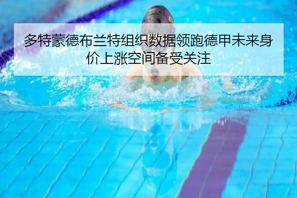 多特蒙德布兰特组织数据领跑德甲未来身价上涨空间备受关注