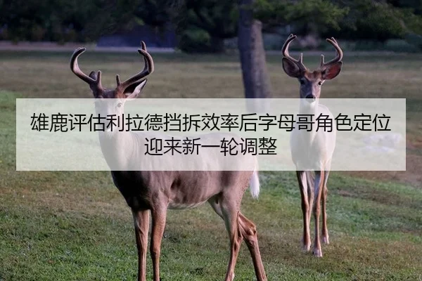 雄鹿评估利拉德挡拆效率后字母哥角色定位迎来新一轮调整